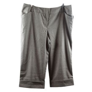 Worthington Women's Brown Pants Modern Fit Sits Below The Waist Size 20W 026